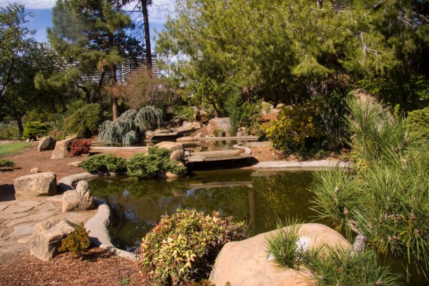 oaktownart_20091021_11