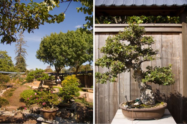 oaktownart_20091021_2