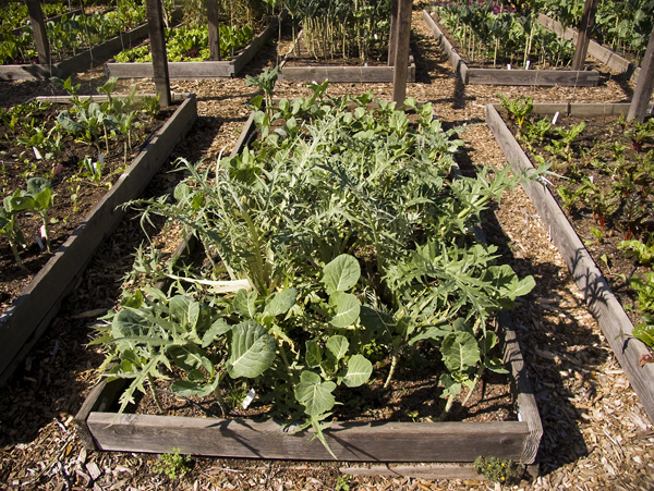 oaktownart_20091023_1