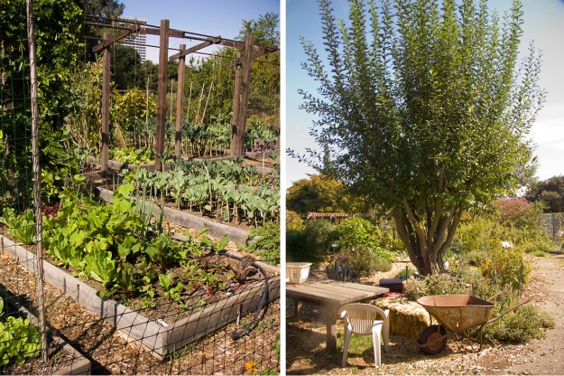 oaktownart_20091023_2