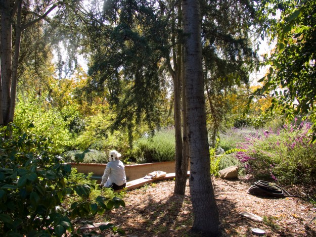 oaktownart_20091023_4