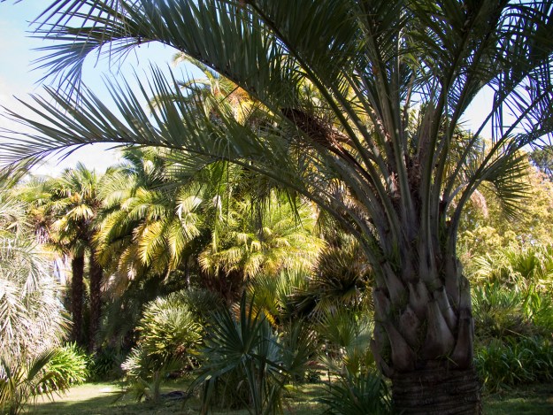 oaktownart_20091023_5