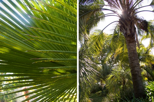 oaktownart_20091023_6