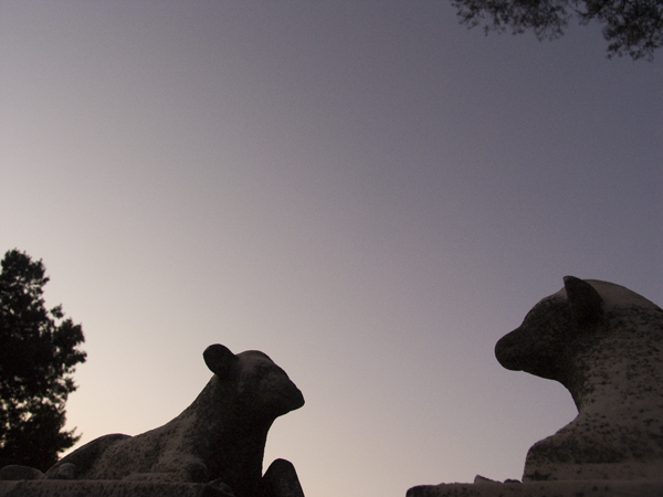Mountain View Cemetery Lambs