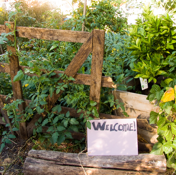 oaktownart_20091105_2 Ghost Town Farm Welcome