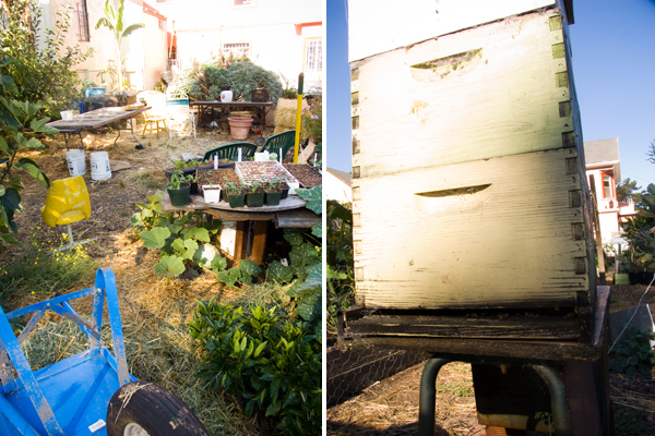 oaktownart_20091105_3 Ghost Town Farm
