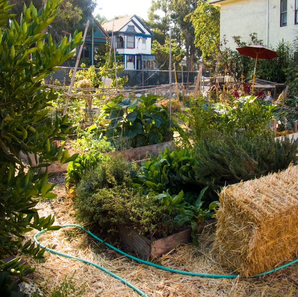 oaktownart_20091105_5 Ghost Town Farm
