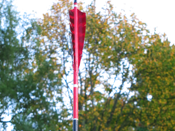 Arrow red feathered arrow