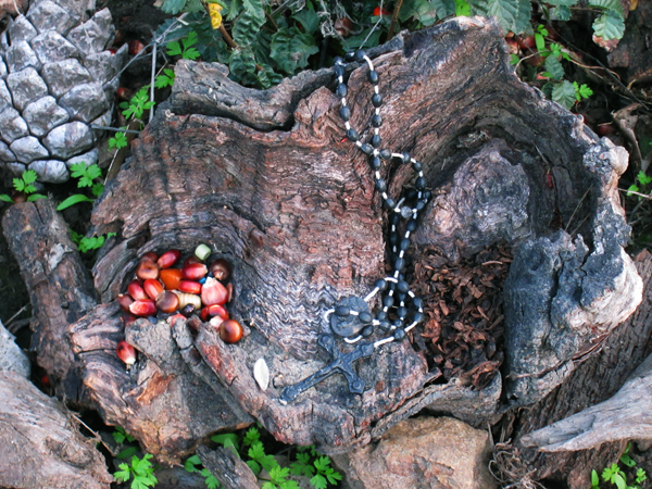 Offerings Spiritual Offerings