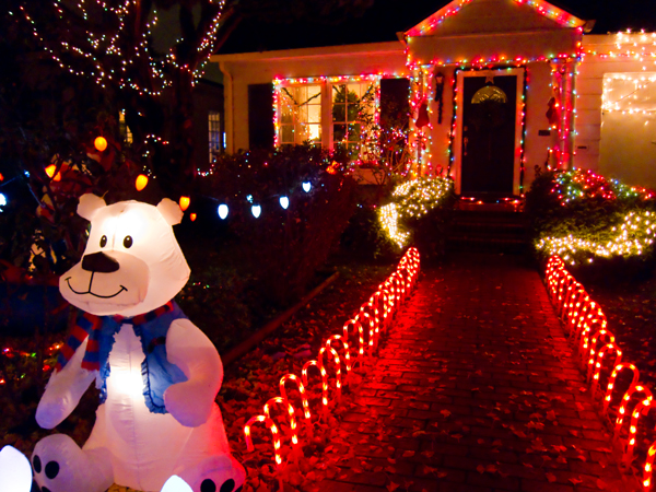 christmas_tree_lane_25