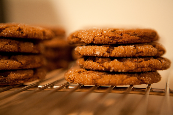 oaktownart_20091215_09 cookies on cooling rack