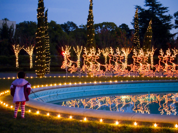holiday lights, circle of lights, mountain view cemetery