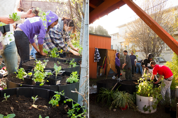 urban garden, oakland youth center garden