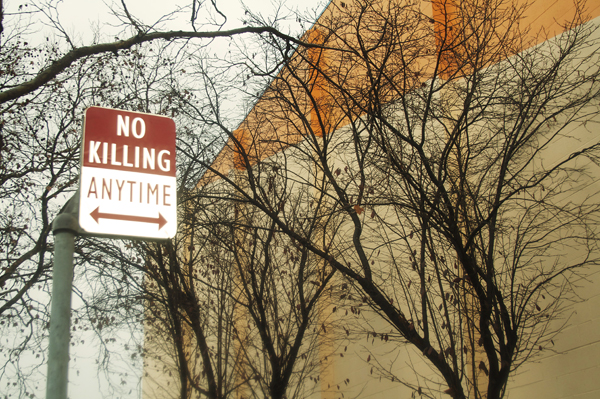oakland graffiti, no killing signs