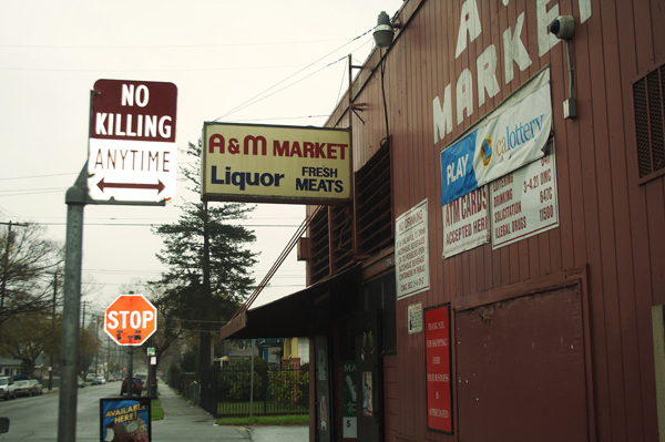 oakland graffiti, no killing signs
