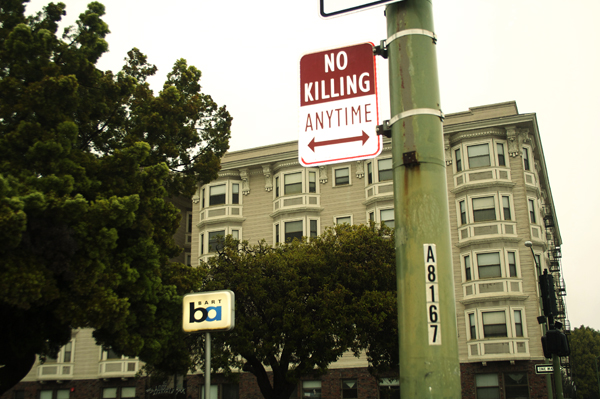 oakland graffiti, no killing signs, modified parking signs