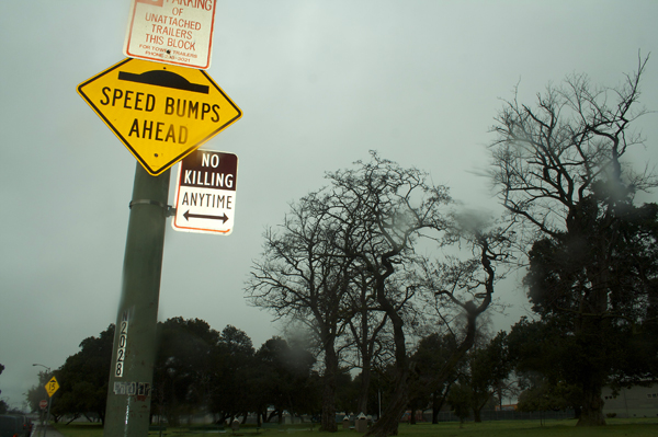 oakland graffiti, no killing signs, modified parking signs