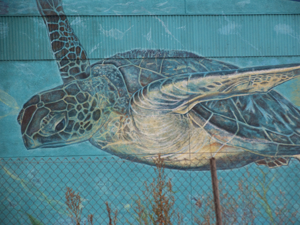 ラフアンドスウェル　 RSM-25213　PABLO OFF TURTLE Sea Turtle Swims on 880 | Oaktown Art | Oakland Art, Public Art