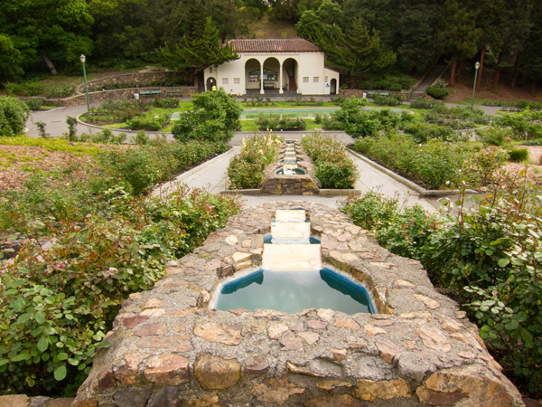 cascading fountain, rose garden cascading fountain, morcom rose garden