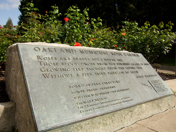 dedication plaque, morcom rose garden