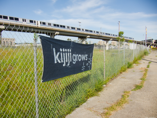 keba konte, west oakland bart community garden, mo' better food garden