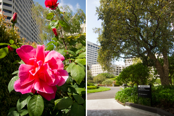 kaiser center garden, kaiser rooftop garden
