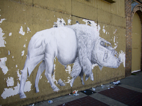 hail mary wheatpaste, ave maria wheatpaste, bison wheatpaste