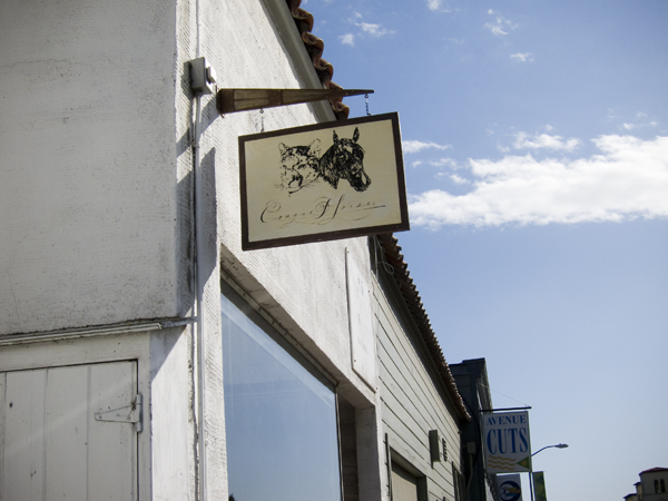 cougarhorse piedmont ave, cougar horse oakland