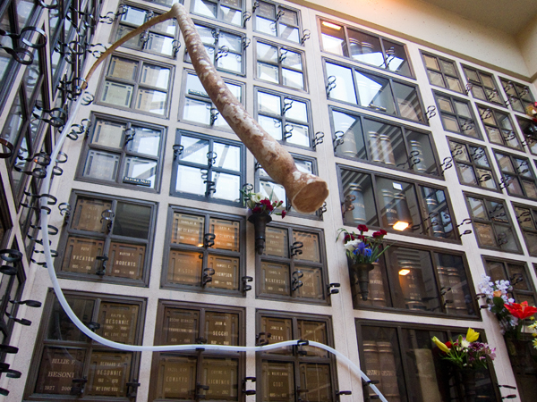 bay area new music, dr seuss, organic musical instrument