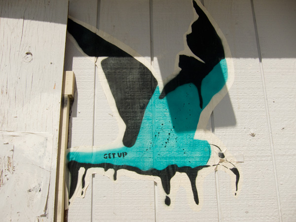 seagull wheatpaste, BP oil crisis artwork