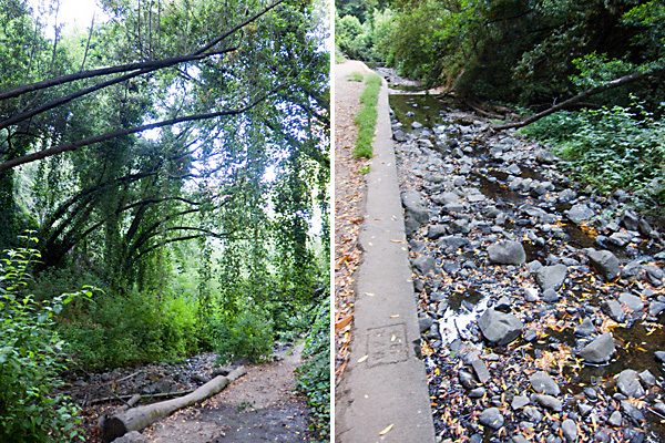 Sausal Creek, sausal creek hiking trails