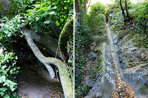 sausal creek hiking, sausal creek culvert