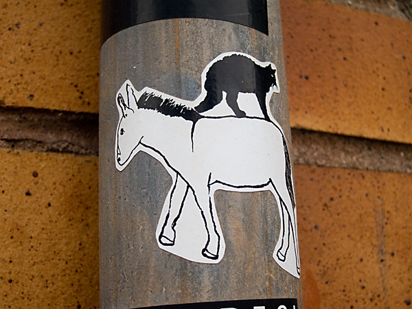 black white stickers, donkey cat sticker