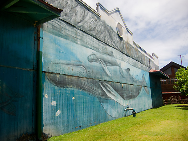 Kauai Humpback Whale Mural, Time for Conservation, humpback whale