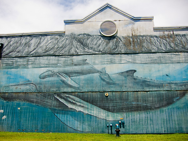 Whaling Wall XXVIII, art of wyland, kauai village murals