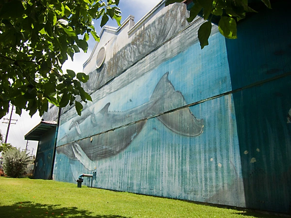 whaling wall, humpback whale mural, kauai village mural