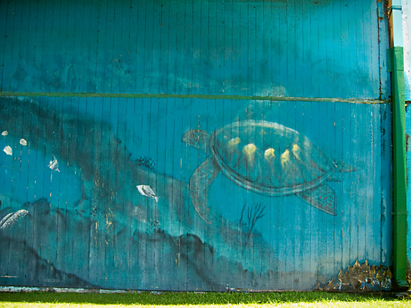 Wyland Whaling Wall, kauai village whaling wall, art of wyland