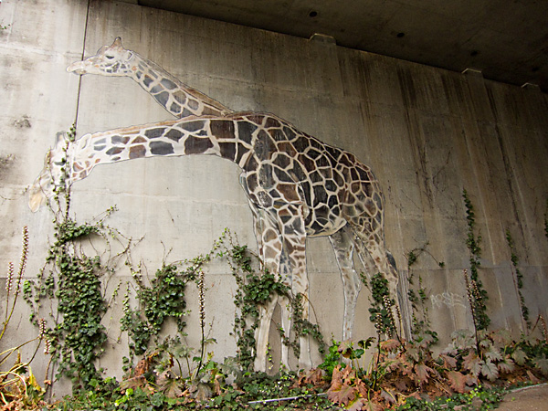 giraphics, dan fontes, giraphics by dan fontes