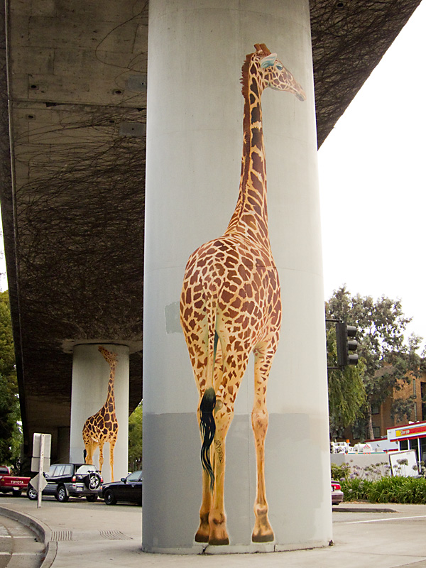 large giraffe paintings, dan fontes, giraphics