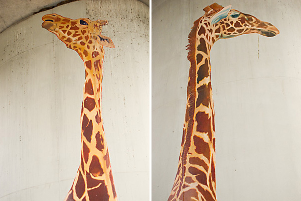 giraffe paintings, oakland public art