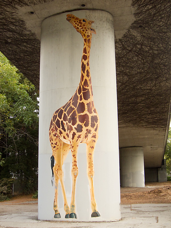 giraffes under 580, freeway giraffe paintings, oakland public art on freeways
