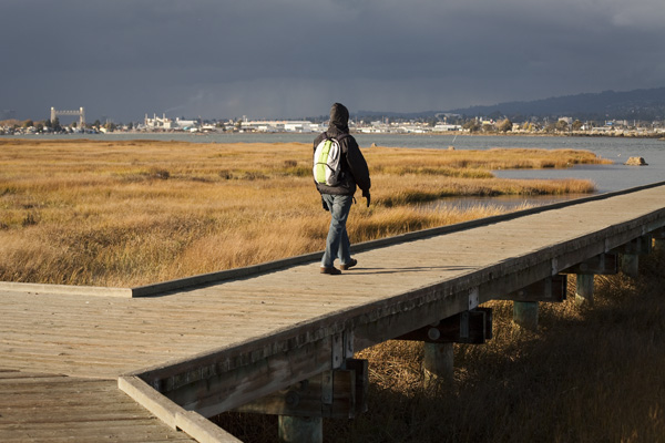 MLK Jr. Regional Shoreline, east bay birdwatching spots