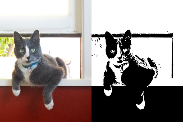 Using Photoshop to Render B/W stamp filter photoshop, creating b/w graphic from photograph