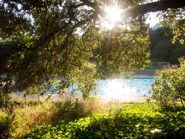 Lyons Pool - Dimond Park lyons pool oakland, best oakland swimming spots