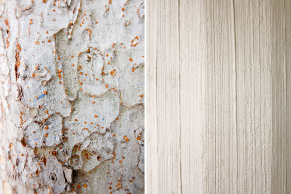white textures, flaky bark, shades of gray, abstract photography, photos of white